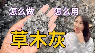 【Garden】How to make and use woodash? CanvBBQ charcoal ash be used? 草木灰怎么做? 怎么用? 烧烤碳灰能当草木灰用吗？