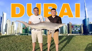 ГОТОВИМ БОЛЬШУЮ АКУЛУ В ДУБАЕ!   |  COOKING A BIG SHARK IN DUBAI!