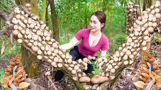 Harvesting Shiitake Mushrooms Goes to the market sell - Where is the disabled younger brother ??