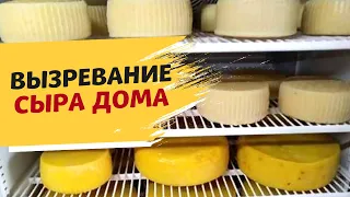 Идеальные условия для созревания сыра: где взять камеру для вызревания сыра