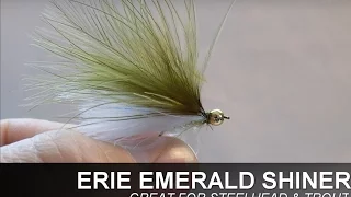 ERIE EMERALD SHINER FLY - STEELHEAD/TROUT FLY