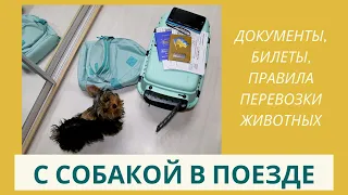 Как путешествовать с собакой в поезде: покупка билетов, необходимые документы и правила перевозки