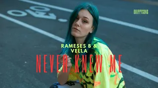 Rameses B & Veela - Never Knew Me | Phonk | Audio Artistry - Copyright Free Music