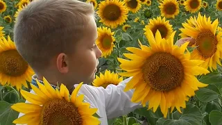 Кожна дитина в Україні заслуговує на щасливе дитинство 🙏🇺🇦