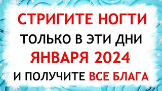 Лунный календарь стрижки ногтей на январь 2024. Благоприятные и неблагоприятные дни.