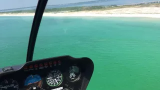 Destin Helicopter sharks