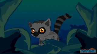 10 Amazing Facts about Madagascar - Fun Facts for Kids | Educational Videos by Mocomi