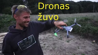 Rugsėjo 26/Klojinių skydų gamyba/ Skrydis su dronu virš sklypo