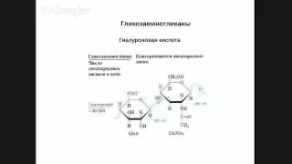 Кружок по биохимии. Младшая группа. Занятие 9. Функции углеводов. Часть 2.