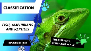 Fish, Amphibians and Reptiles