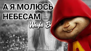 Молюсь(бурундуки)/ А Я МОЛЮСЬ НЕБЕСАМ(БУРУНДУКИ)