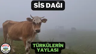 Temmuz Ayında Donduk❄️. Doğu Karadeniz'in Sembolü Sis Dağı Yaylası. 🌲