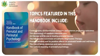 The handbook of Prenatal & perinatal Psychology