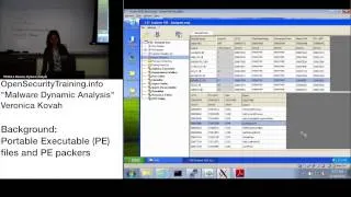 Dynamic Malware Analysis D1P03 Background: PEs and Packers