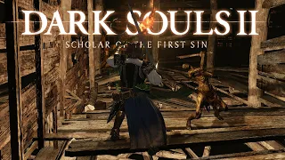 DARK SOULS 2 помойка!