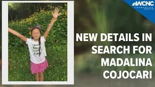 New details in search for Madalina Cojocari