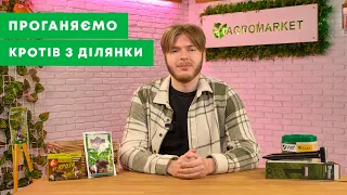 ЯК ПРОГНАТИ КРОТА З ДІЛЯНКИ? | Гуманні методи боротьби з кротами | Agro-Market.ua