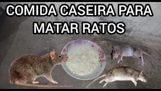 COMIDA CASEIRA PARA MATAR RATOS, MATA TODOS 😱😱😱😱