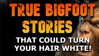 TRUE BIGFOOT STORIES THAT COULD TURN YOUR HAIR WHITE!