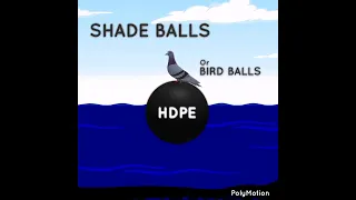Shade or Bird balls?!