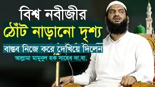 বিশ্ব নবীর ঠোঁট নাড়ানো দৃশ্য বাস্তব দেখিয়ে দিলেন Allama Mamunul Haque