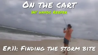 On the Cart Ep.11: Finding the Storm Bite