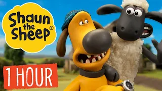 Shaun the Sheep S1 Compilation!