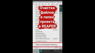 Удалить неиспользующиеся файлы в проекте Reaper #shorts #reaper #tutorial