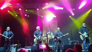 Los Lobos "Good lovin' " Aalen 3.8.2019