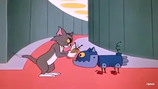 Tom and Jerry  Space Edition