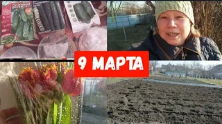 #756ЗАПАСОВ ЕЩЕ МНОГО/ПАШЕМ ОГОРОД/БАБУШКИН ПИРОГ/ПОСЕЯЛА ОГУРЦЫ#купилидомнаюге#жизньнакубани