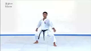 Seiyunchin Kata & bunkai