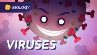 How Do Vaccines Work?: Viruses & Vaccines: Crash Course Biology #39