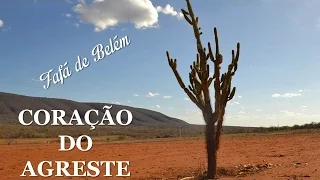 Coração Do Agreste Fafá de Belém (legendado) HD.