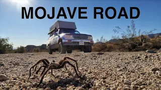 MOJAVE ROAD DESERT TRIP | Overland Travel Vlog Ep.78