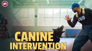 Canine Intervention: Dog Training Show Coming On Netflix!  - Premiere Next