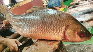 Amazing Cutting Skills | Giant Rohu Fish Skinning & Chopping By Expert Fish Cutter