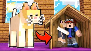 MINECRAFT - KOTEK BELLI CHCE NAS ZJEŚĆ! (Minecraft Obby) | Vito i Bella