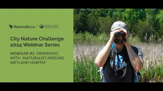 City Nature Challenge 2024 Series: #2 - Observing with iNaturalist Around Wetland Habitat