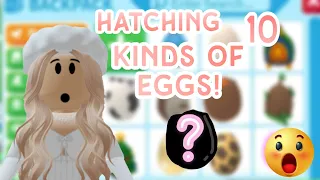 Hatching 10 kinds of eggs! | I finally got legendary!