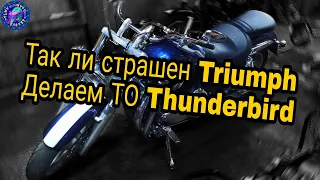 Triumph Thunderbird 1600 Боятся?! Или БРАТЬ И ДЕЛАТЬ?! ПРЕДСЕЗОННОЕ ОБСЛУЖИВАНИЕ