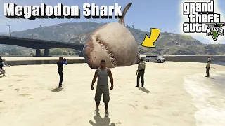 The Biggest Shark in GTA 5 History Found! (Megalodon Shark Attack 2021)