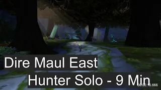 Classic WoW Guide - Hunter - Solo DM East - 1 Boss & Mining - 9 mins