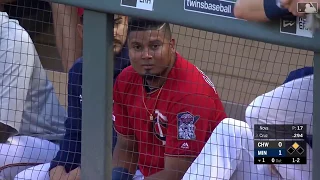 gray squirrel enters the Twins dugout