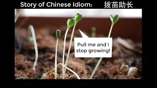 Chinese Idiom Story: 拔苗助长 (Pull Seedlings To Help Them Grow)