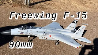 Freewing F-15 90mm Maiden Flight and Review!