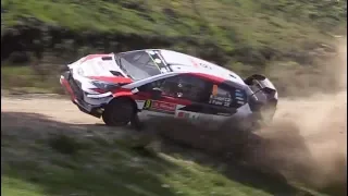 WRC | Rally Maximum Attack, On The Limits, Flat Out Moments | Compilation 2018-2019