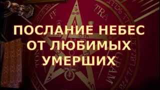 🕊️ ПОСЛАНИЕ с НЕБЕС от ЛЮБИМЫХ УМЕРШИХ и ДУХОВ РОДА на новолуние Таротерапия знаки судьбы #tarot