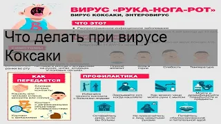 Что делать при вирусе Коксаки