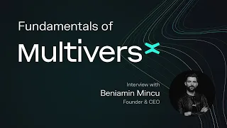 MultiversX – Mass adoption, security, sharding, EGLD, xDay, and more | Fundamentals ep.73